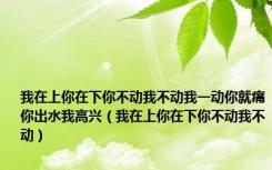 我在上你在下你不动我不动我一动你就痛你出水我高兴（我在上你在下你不动我不动）