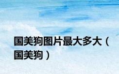 国美狗图片最大多大（国美狗）