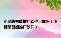 小脑袋智能推广软件可靠吗（小脑袋智能推广软件）