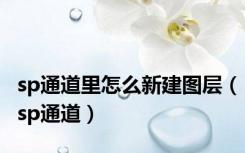 sp通道里怎么新建图层（sp通道）