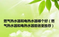 燃气热水器和电热水器哪个好（燃气热水器和电热水器前者更推荐）