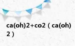 ca(oh)2+co2（ca(oh)2）