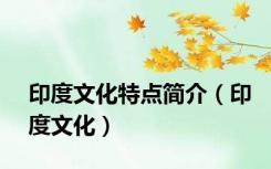 印度文化特点简介（印度文化）