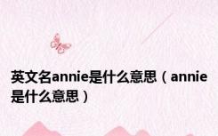 英文名annie是什么意思（annie是什么意思）