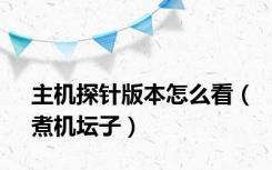 主机探针版本怎么看（煮机坛子）