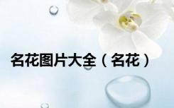 名花图片大全（名花）