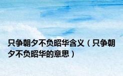 只争朝夕不负昭华含义（只争朝夕不负昭华的意思）