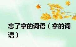 忘了拿的词语（拿的词语）