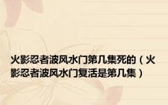 火影忍者波风水门第几集死的（火影忍者波风水门复活是第几集）