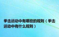 拳击运动中有哪些的规则（拳击运动中有什么规则）