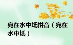 宛在水中坻拼音（宛在水中坻）