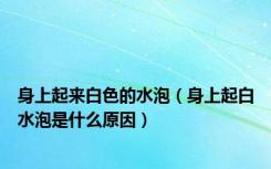 身上起来白色的水泡（身上起白水泡是什么原因）
