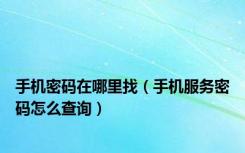 手机密码在哪里找（手机服务密码怎么查询）