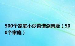 500个家庭小炒菜谱湖南版（500个家庭）