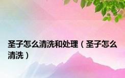 圣子怎么清洗和处理（圣子怎么清洗）