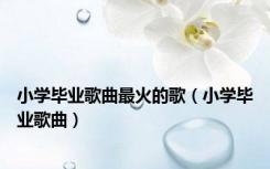 小学毕业歌曲最火的歌（小学毕业歌曲）