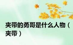 夹带的勇哥是什么人物（夹带）