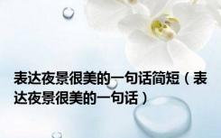 表达夜景很美的一句话简短（表达夜景很美的一句话）