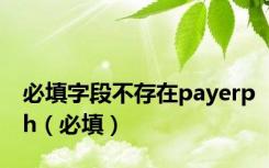 必填字段不存在payerph（必填）