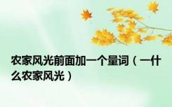 农家风光前面加一个量词（一什么农家风光）