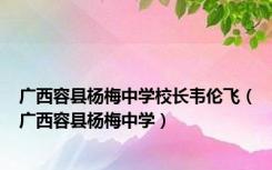 广西容县杨梅中学校长韦伦飞（广西容县杨梅中学）