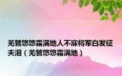 羌管悠悠霜满地人不寐将军白发征夫泪（羌管悠悠霜满地）
