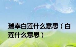 瑞幸白莲什么意思（白莲什么意思）