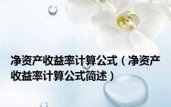 净资产收益率计算公式（净资产收益率计算公式简述）