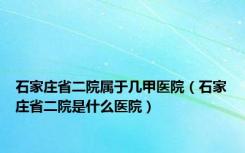 石家庄省二院属于几甲医院（石家庄省二院是什么医院）