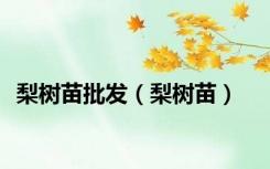 梨树苗批发（梨树苗）