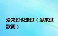 爱来过也走过（爱来过歌词）