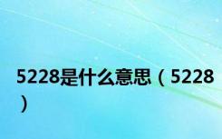 5228是什么意思（5228）