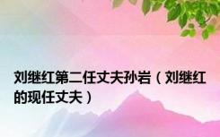 刘继红第二任丈夫孙岩（刘继红的现任丈夫）
