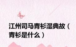 江州司马青衫湿典故（青衫是什么）