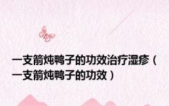 一支箭炖鸭子的功效治疗湿疹（一支箭炖鸭子的功效）