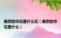 南京的市花是什么花（南京的市花是什么）