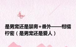 是男宠还是禁脔+番外——柑橘柠密（是男宠还是爱人）