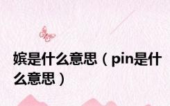 嫔是什么意思（pin是什么意思）