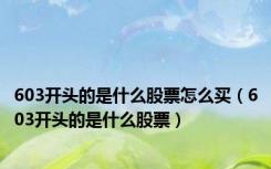 603开头的是什么股票怎么买（603开头的是什么股票）