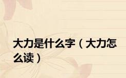 大力是什么字（大力怎么读）