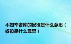不如辛者库的奴役是什么意思（奴役是什么意思）