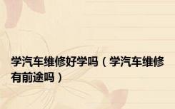 学汽车维修好学吗（学汽车维修有前途吗）