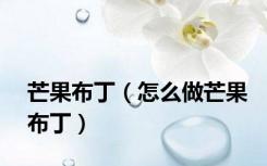 芒果布丁（怎么做芒果布丁）
