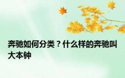 奔驰如何分类？什么样的奔驰叫大本钟