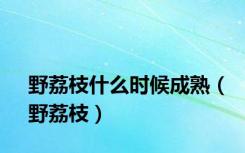 野荔枝什么时候成熟（野荔枝）