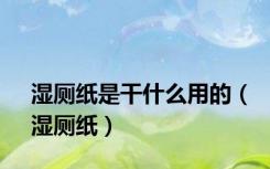 湿厕纸是干什么用的（湿厕纸）