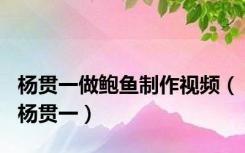 杨贯一做鲍鱼制作视频（杨贯一）