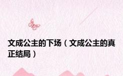 文成公主的下场（文成公主的真正结局）