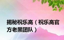 揭秘祝乐高（祝乐高官方老黑团队）