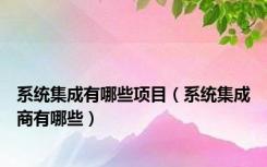系统集成有哪些项目（系统集成商有哪些）